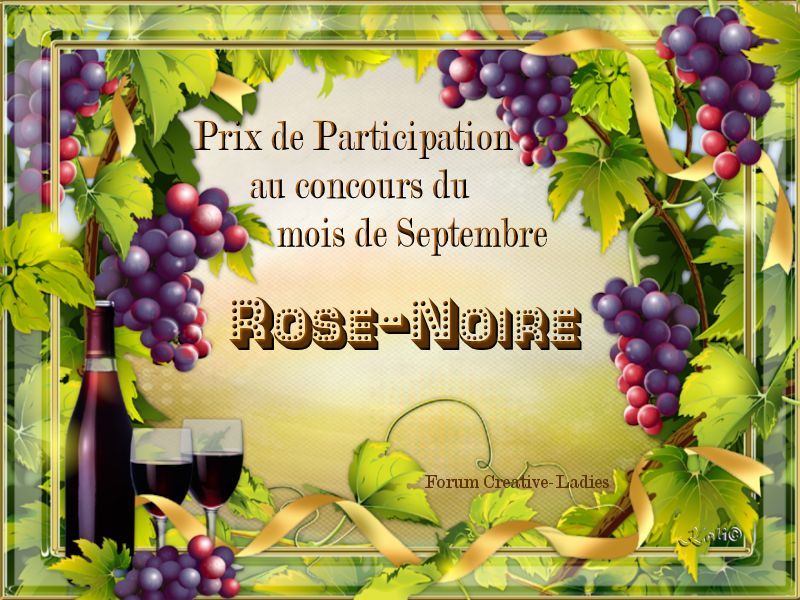 Rubans De Participation Pour Concours - Modèle VP05 - Lot